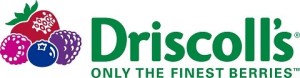 Driscoll